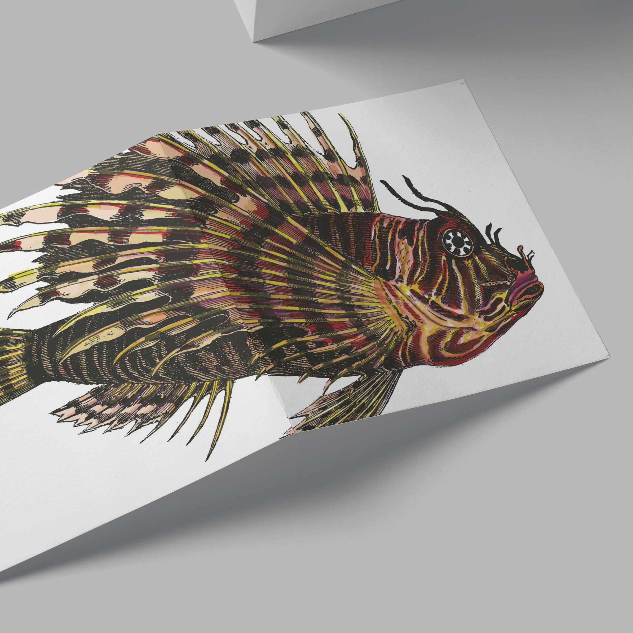 Firefish Card